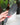 Hairbrush - Detangling 3D Hair Brush