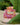#farbe_pink-orange