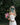 #farbe_emerald-green
